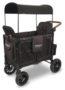 Wonderfold W2 Luxe Multifunctional Double (2 seater) Stroller Wagon