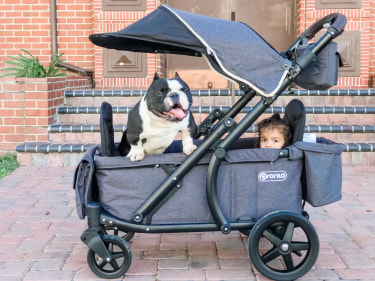 Pronto One (2 Seater) Stroller Wagon